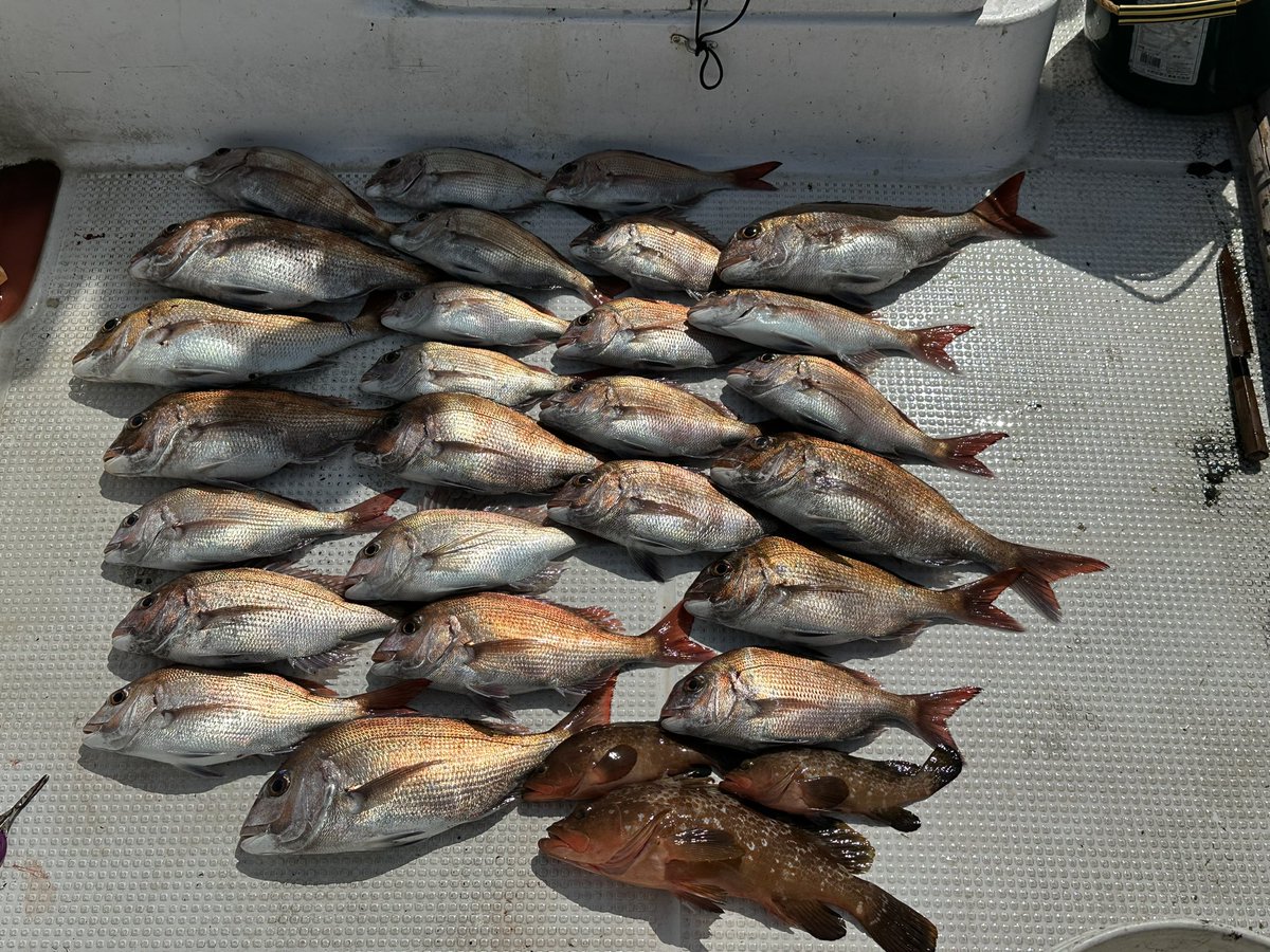 今年は当たり年か
9時から昼前にあがってこの釣果
タイラバ、タイジグでぼこぼこ
いろんなとこにあげた。みんな喜んでくれたからよかった
さて、仕事も忙しいけどあとすこしで楽になる 
おれ、ガンバ