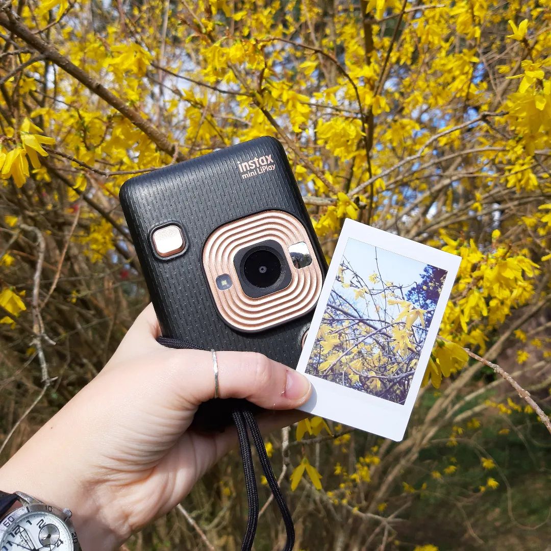 IndiaInstax's tweet photo. Summer calls for a cool effect! Play with films and lens effects with mini LiPlay and record your voice instantly! 🌸

#instax #instaxindia #miniliplay #liplay https://t.co/hcZCSqimhW