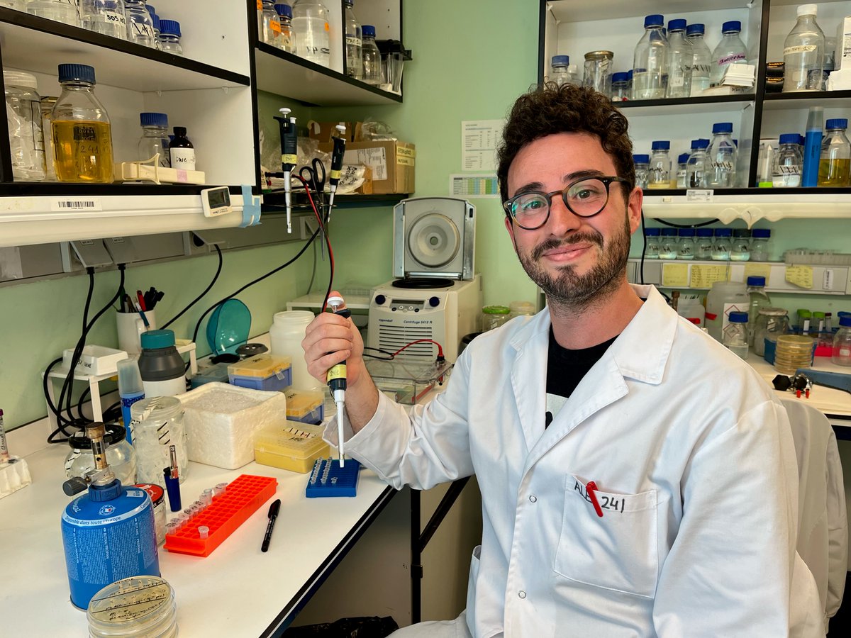 BIOCELLPHE (@biocellphe) on Twitter photo Alejandro Prieto Durán, Postdoctoral researcher funded by Juan de la Cierva program of AEI/MICIN (aei.gob.es) has recently joined the lab of <a href="/lafdez_synbio/">Luis Ángel Fernández</a> <a href="/CNB_CSIC/">Centro Nacional de Biotecnología (CSIC)</a> to conduct work on the development of bacterial antigen receptors, as part of the BIOCELLPHE project Alejandro Prieto Durán, Postdoctoral researcher funded by Juan de la Cierva program of AEI/MICIN (aei.gob.es) has recently joined the lab of <a href="/lafdez_synbio/">Luis Ángel Fernández</a> <a href="/CNB_CSIC/">Centro Nacional de Biotecnología (CSIC)</a> to conduct work on the development of bacterial antigen receptors, as part of the BIOCELLPHE project
