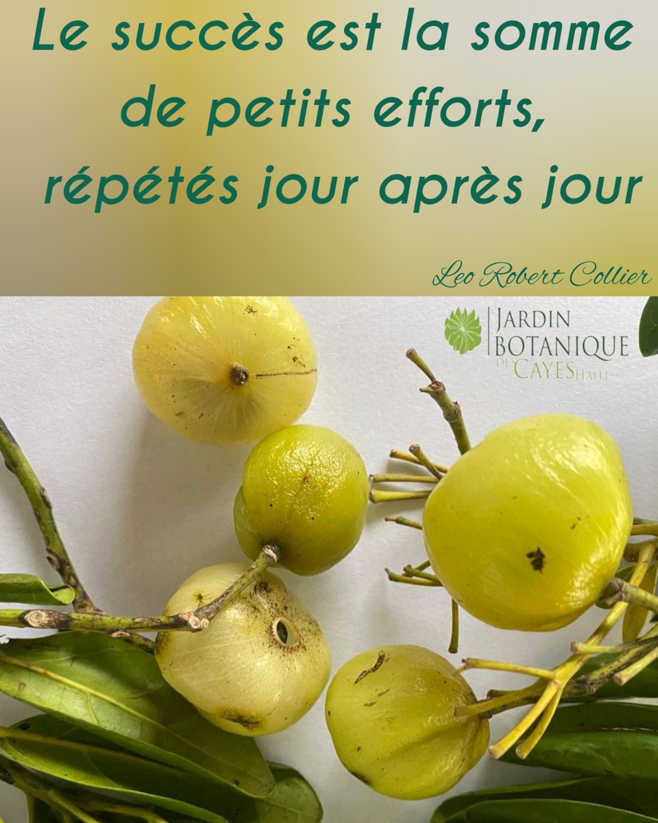 JardinBotaniquecayes tweet media