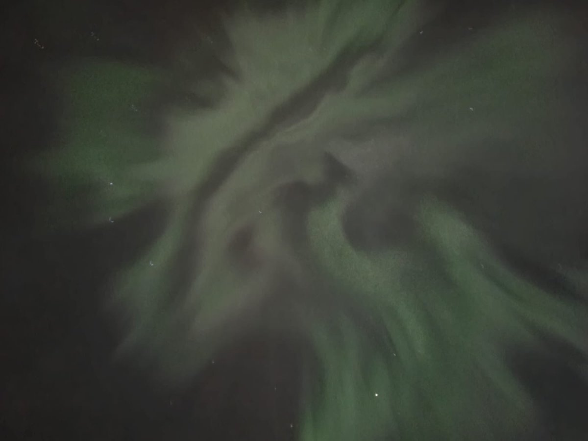 Ryan Jones tweet media