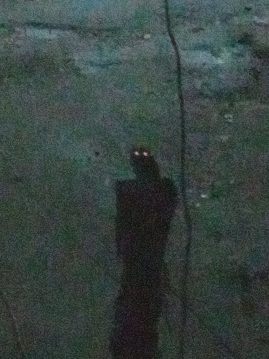 KhamchaNishant's tweet image. July 17, 2021
#forfuture