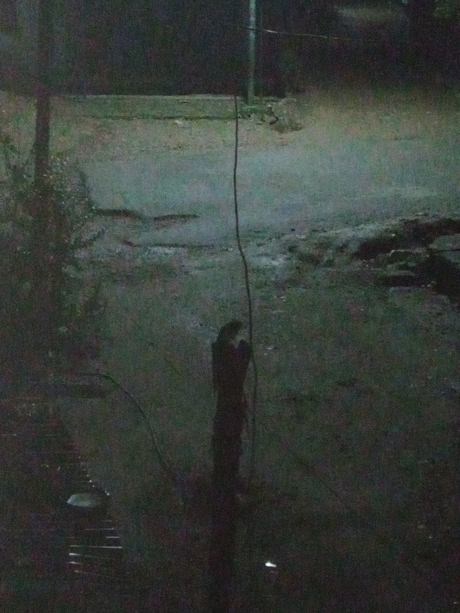 KhamchaNishant's tweet image. July 17, 2021
#forfuture