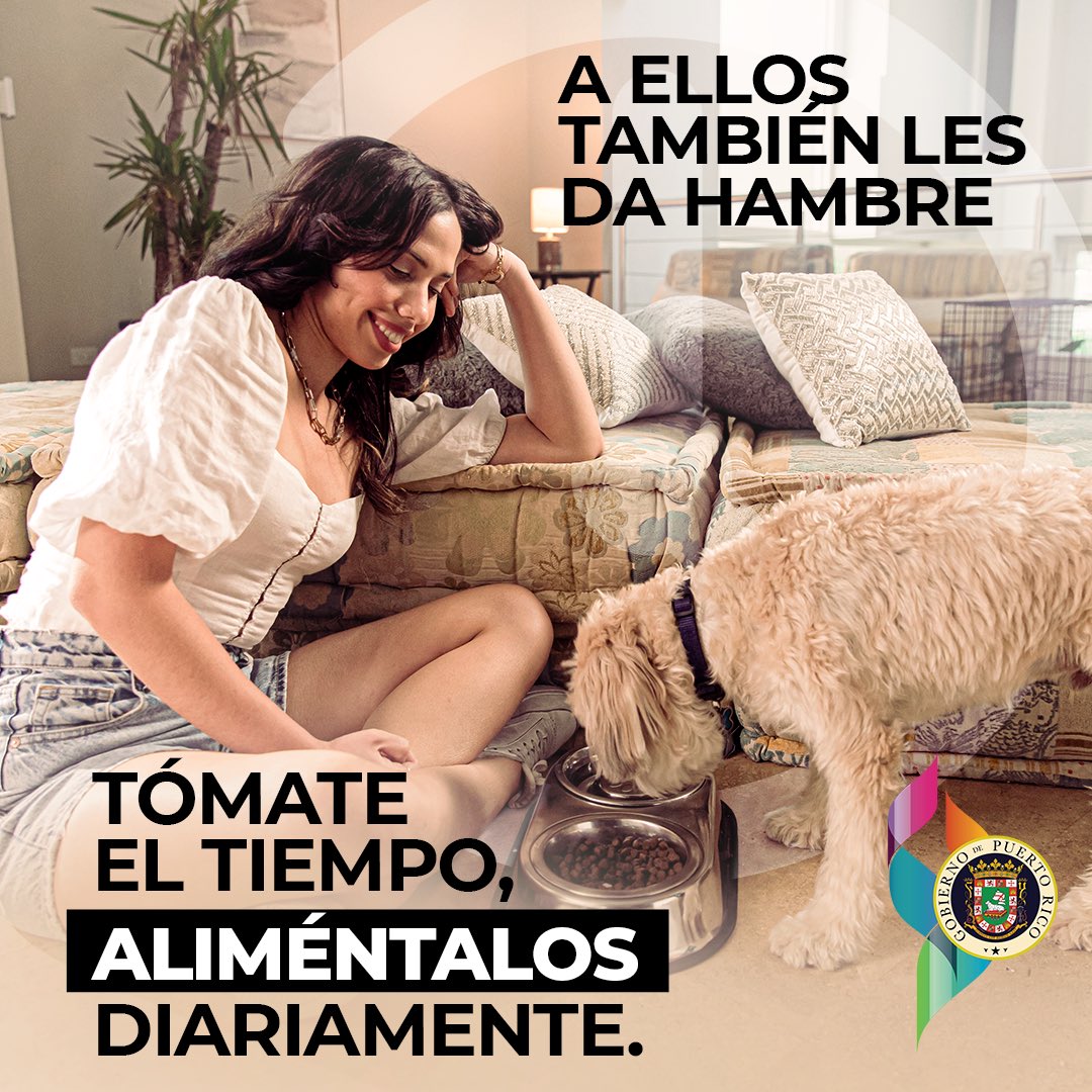 PRGAPSA's tweet image. Las mascotas son parte de la familia. Igual que nosotros, sienten hambre, sed, dolor, frío, miedo, amor y soledad. Conoce cómo protegerlos y cuidarlos bien en SientenComoNosotros.com. #SientenComoNosotros