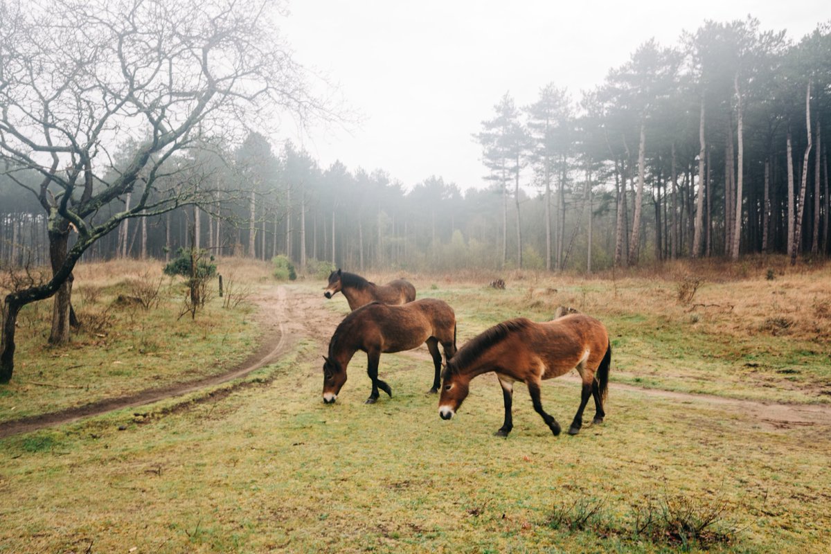 phillipoKneen's tweet photo. Nikon 28Ti/Kodak Ektar 100 #nikon #kodakektar #kodak #35mm #Netherlands #analog #analogue https://t.co/SVC741oMKk