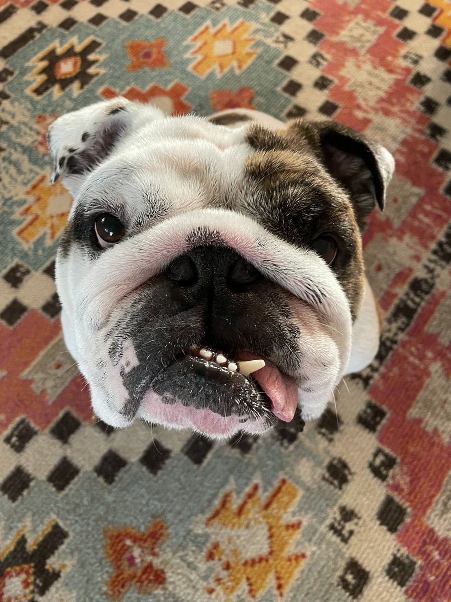 Griff II tweet media