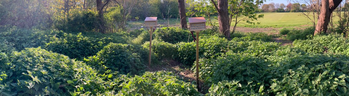 James Gilbert (@james_gilbert) on Twitter photo Delighted our <a href="/BBSRC/">Biotechnology and Biological Sciences Research</a> grant with <a href="/BethBees/">Dr Beth Nicholls- find me on Bluesky!</a> & Jeremy Niven has been funded! We'll be measuring and modelling responses of wild bees to diet & temperature to help predict effects of landscape/climate change. Look out for postdoc/PhD/RA recruitment in coming months 😊 Delighted our <a href="/BBSRC/">Biotechnology and Biological Sciences Research</a> grant with <a href="/BethBees/">Dr Beth Nicholls- find me on Bluesky!</a> & Jeremy Niven has been funded! We'll be measuring and modelling responses of wild bees to diet & temperature to help predict effects of landscape/climate change. Look out for postdoc/PhD/RA recruitment in coming months 😊