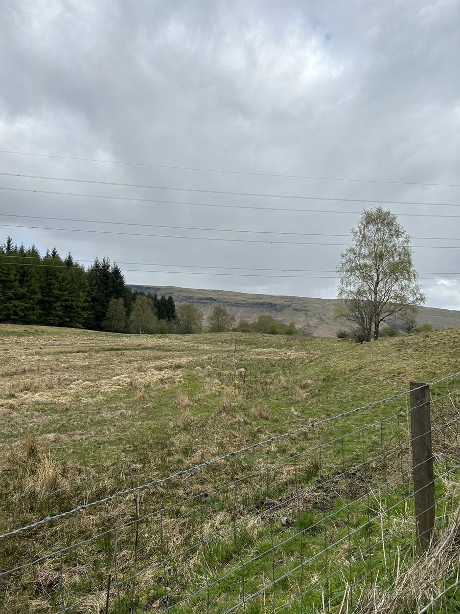 Heather_Enable's tweet image. Great to be out in the community today shadowing @Liam_ENABLE in your east Dumbartonshire walking group to develop my role as a community coordinator with @ENABLEScotland why not join us for our next walking group! Contact @Liam_ENABLE or myself for more information!