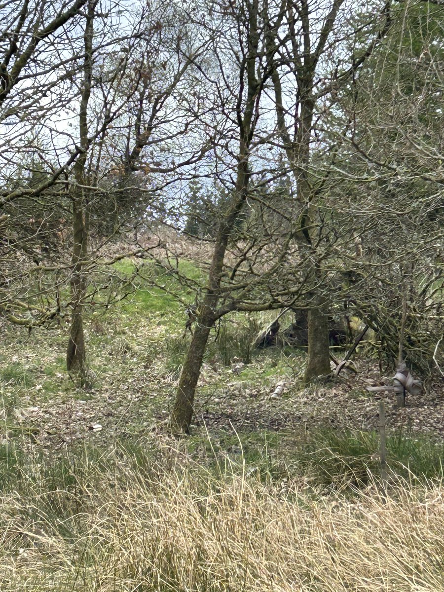 Heather_Enable's tweet image. Great to be out in the community today shadowing @Liam_ENABLE in your east Dumbartonshire walking group to develop my role as a community coordinator with @ENABLEScotland why not join us for our next walking group! Contact @Liam_ENABLE or myself for more information!