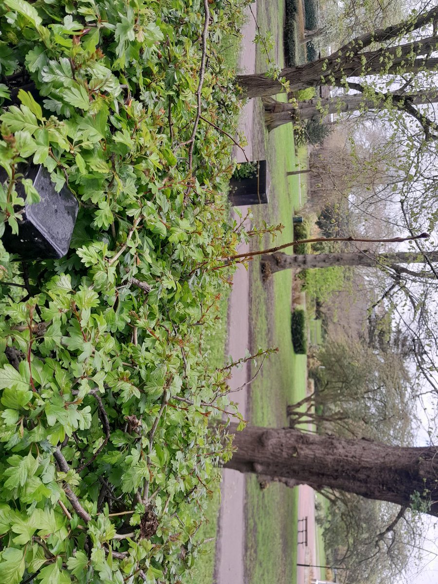 LWMHhelp's tweet image. 2nd full session #therapeutic  I will beat my #EUPD