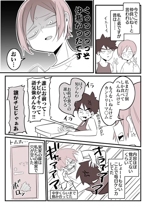 弟とクソ仲悪かった頃の話です 