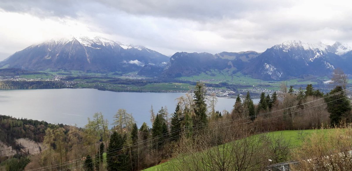 aAaWeeks's tweet photo. Photos from analyzer Marc Cranshof, on the road in Switzerland.

#aAaWeeks #SireTheNeed #BetterFormBetterFunction https://t.co/uIa01NadKa