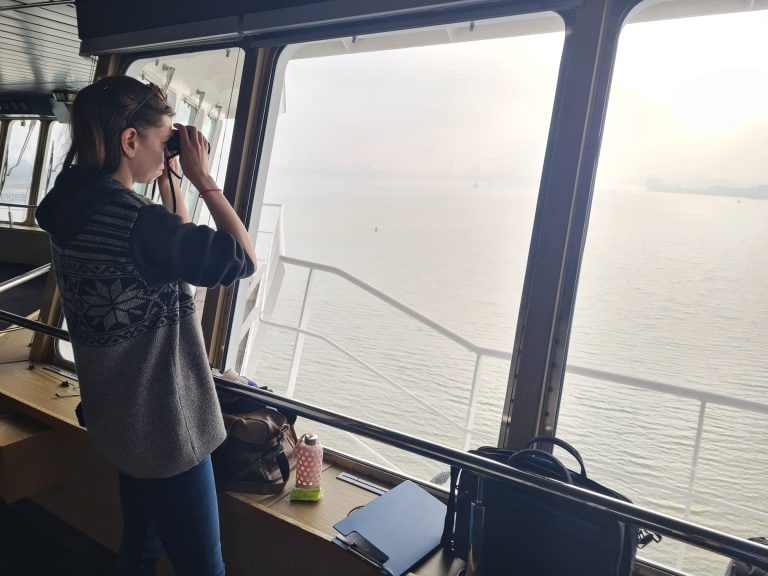 Rugvin's tweet photo. Witsnuitdolfijnen en veel bruinvissen tijdens overtocht met Stena Line https://t.co/9R7WC9WV7x https://t.co/inF682nOlz