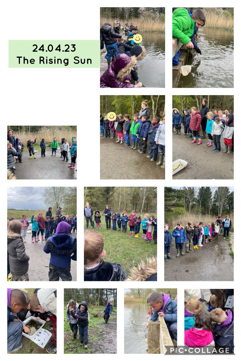 Y2RDPS's tweet photo. #Y2RDPS have had a lovely morning at the Rising Sun.  We went pond dipping and then identified the creatures that we found.  Then we made some environmental art before heading back for lunch!  We didn’t let the little bit of rain that came down spoil our fun! https://t.co/Kk5l40QfEX