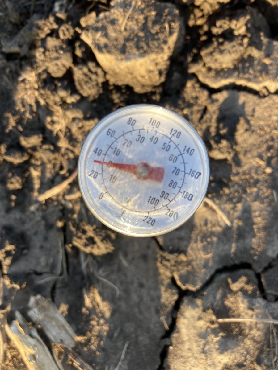 Kevin Gale tweet media