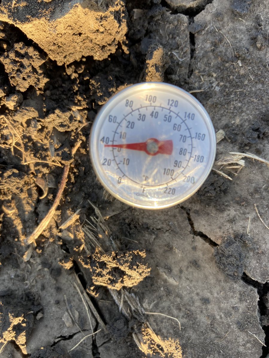2” and 4” soil temp this morning at 7:00 am in planted corn row.  Planting this morning sure would encounter cold water. ⁦<a href="/AgriGold/">AgriGold</a>⁩ #plant23