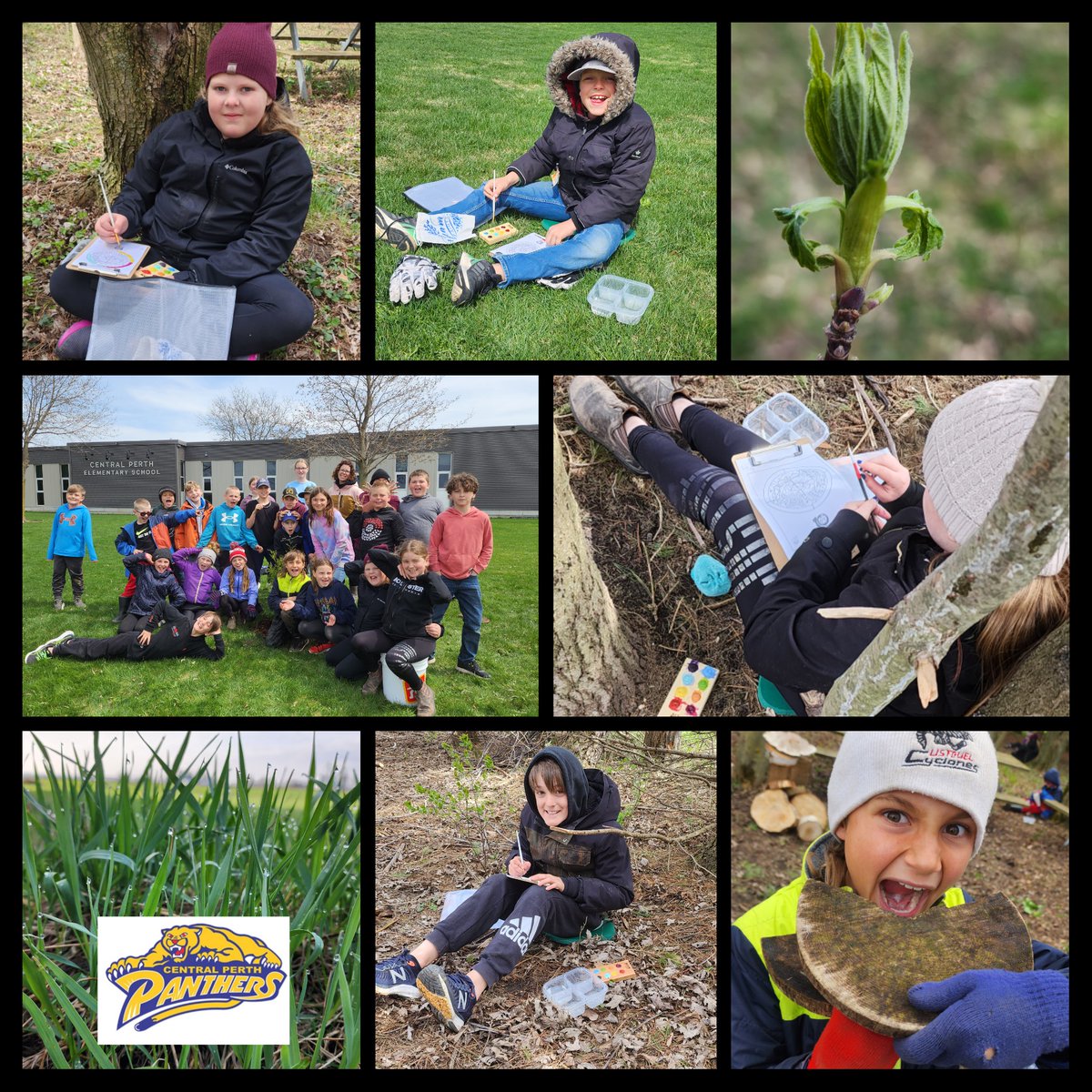 Field &amp; Forest activities at CP!