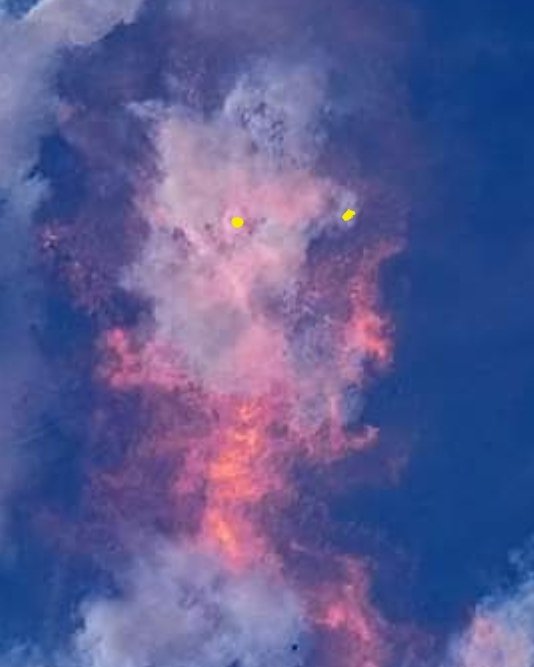 SIGNAL : noise tweet media