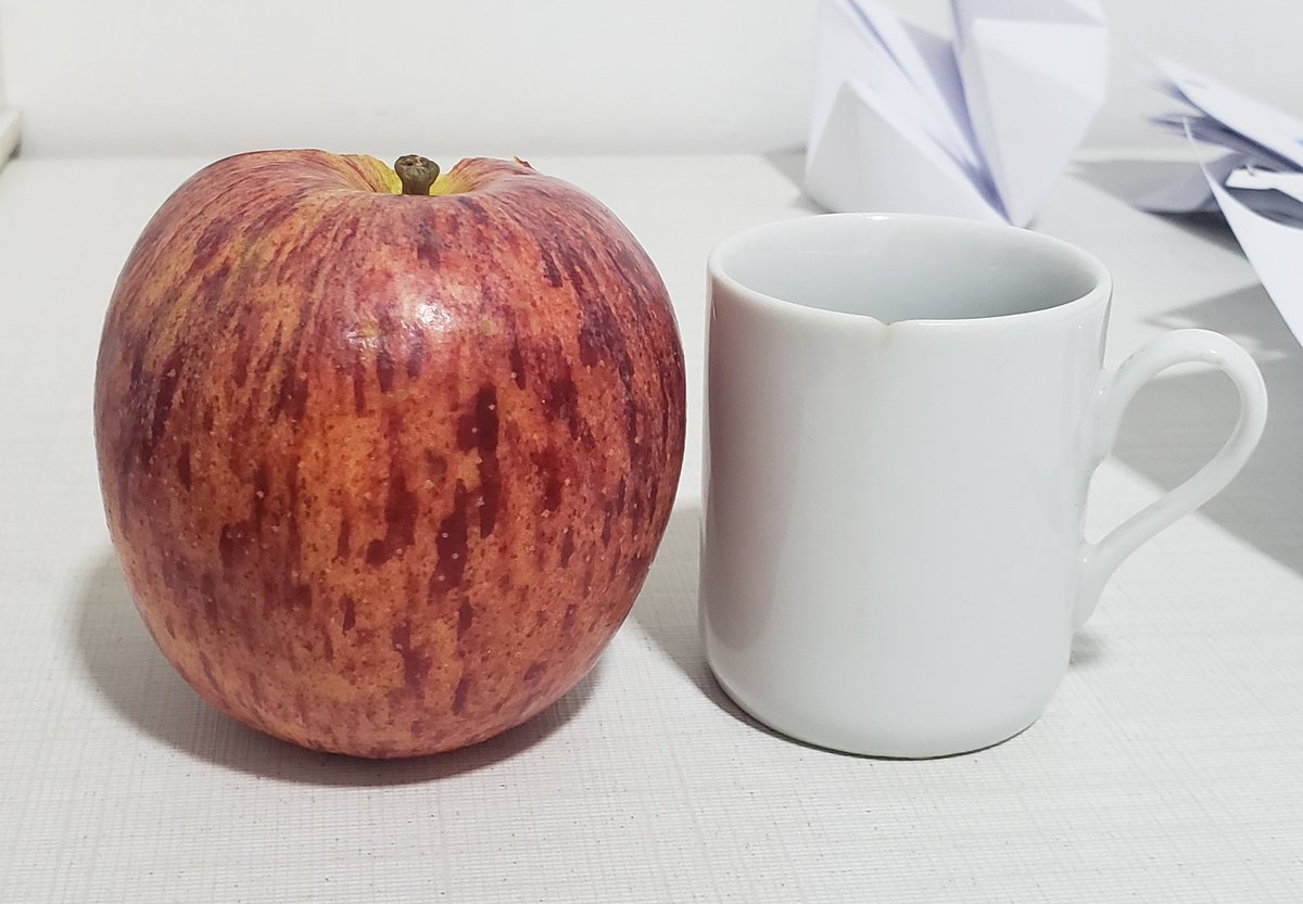 noccalories's tweet photo. Café da manhã ❤ 52cal
(A xícara é café) https://t.co/j51EOsqEVN