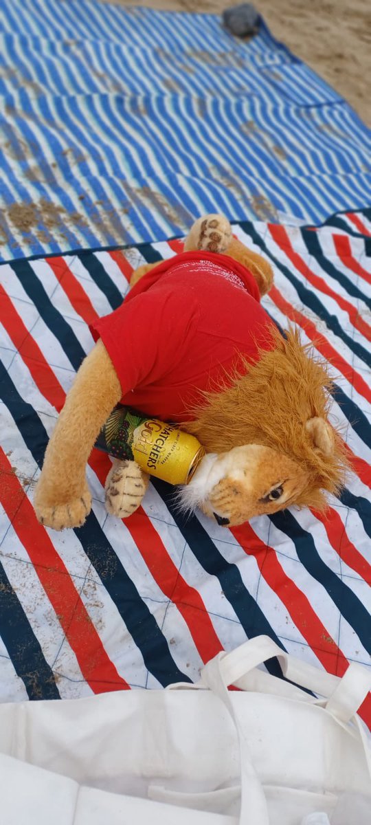 Llanishen RFC U11s 🔴🦁⚫️ tweet media