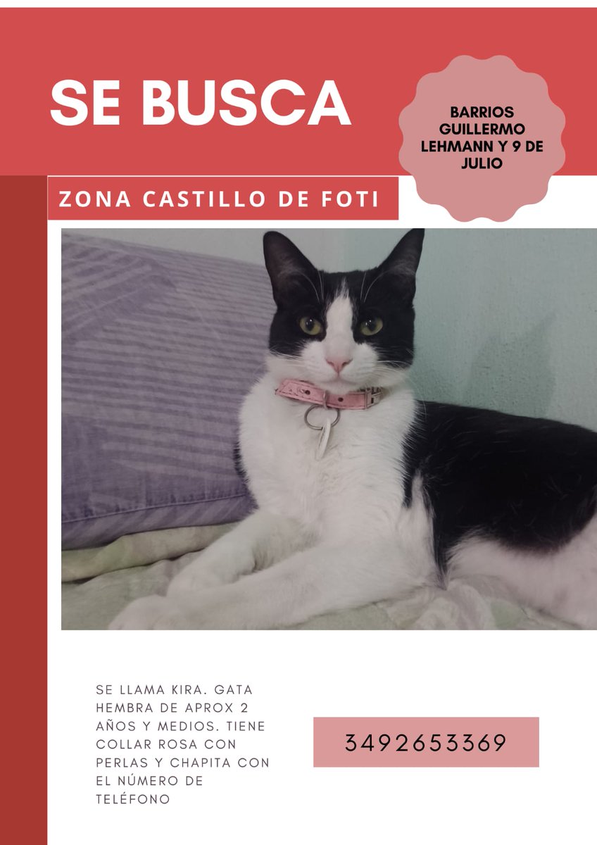 Nati_Chatellino's tweet photo. También por acá. Seguimos buscando a Kira! https://t.co/9ucYG8f8H4