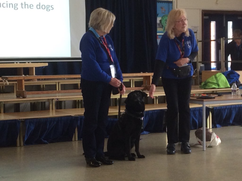 Year 2 learned lots of interesting information about Guide Dogs and ‘ The Guide Dogs for the Blind Association’. Thank you for visiting our school today! @SomersPark2SR