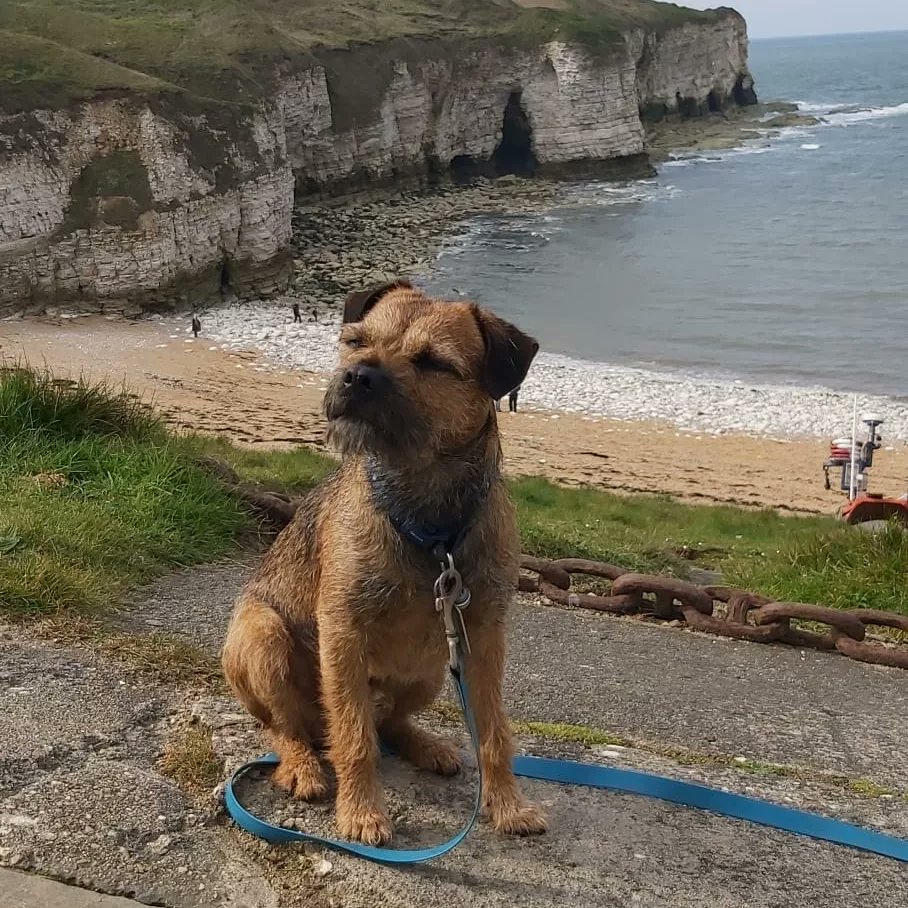 Barney the BT tweet media