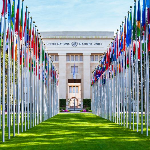 DinamarcanoBR's tweet photo. Hoje é o Dia Internacional do Multilateralismo e da Diplomacia para a Paz🕊️🇺🇳

Apesar de ser um país pequeno, a 🇩🇰 serviu 4 vezes no Conselho de Segurança da ONU; participou de 38 missões das Nações Unidas em todo o mundo; e ofereceu assistência humanitária em áreas de conflito. https://t.co/XEsavlF2Zu