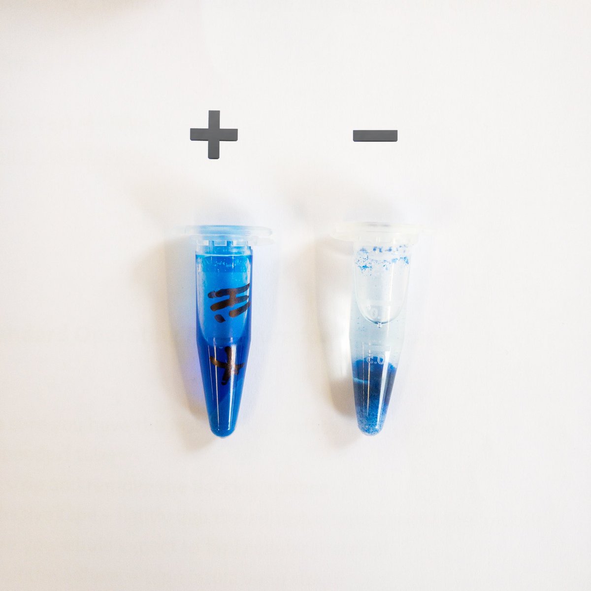 falconchats's tweet photo. Phadebas tube test done. Results cant look any better than this. Thank you @ForensicLeisa for making us learn new fun skills. Lesson to take home - always do the negative first.
#ForensicScienceStudent | @dmuleicester https://t.co/5Z6ZBEiBlQ