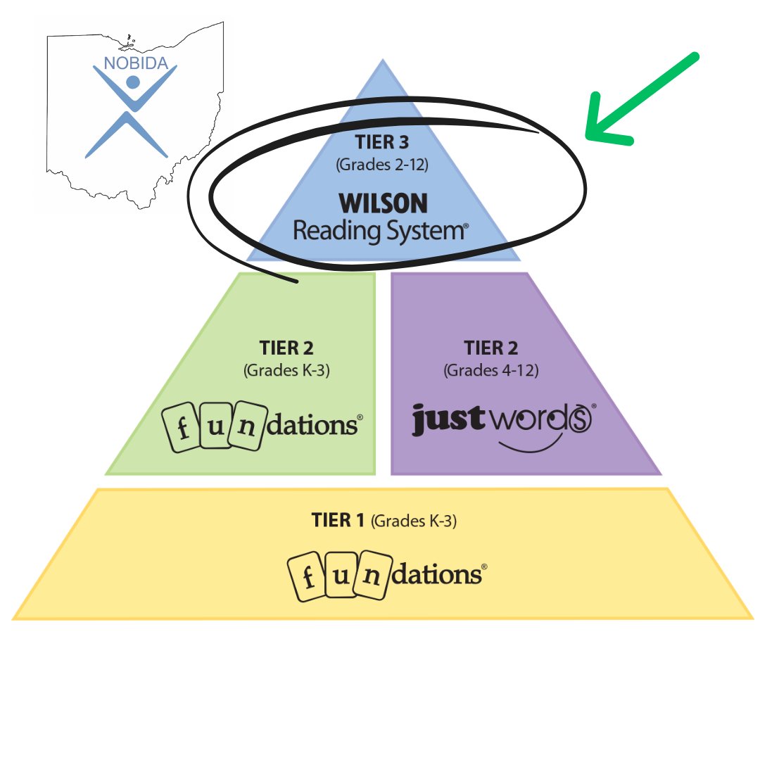 Tier 3 intervention is essential for students who need the greatest literacy support. A structured literacy program for students 2-12+. Register for our 3-Day WRS Introduction Course and unlock the potential of your most struggling readers. conta.cc/3QttSUa