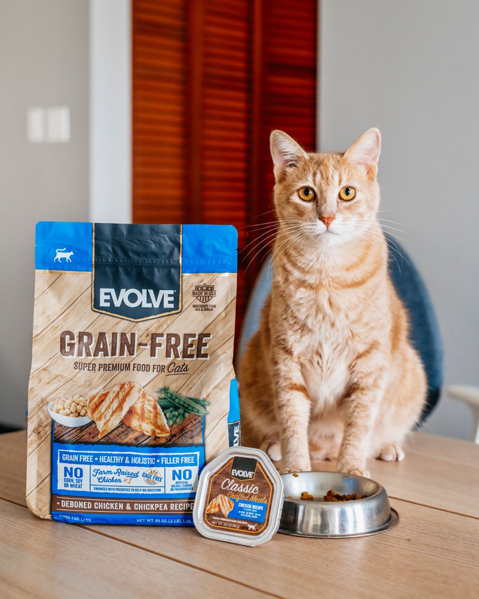 EvolvePetFood's tweet photo. Our Chicken & Chickpea Grain-Free Recipe for our feline friends number one ingredient is REAL CHICKEN! Give your cats what they really want and what you know is good for them! Click here for the puuuurfect meal: https://t.co/efDvbLZaZM
#ChooseEvolve #EvolvePets #Puuurfection https://t.co/iOOiCO41Ns