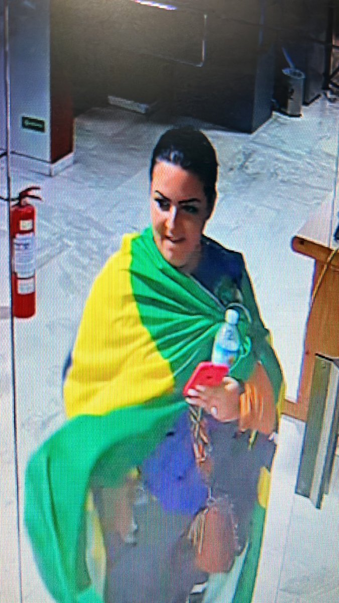 PavoaMisteriosa's tweet image. Quem sera essa pessoa? De cara limpa, garrafinha na mão, estava no grupo de invasores que quebrou o palacio.
Vamos deixa-la famosa.