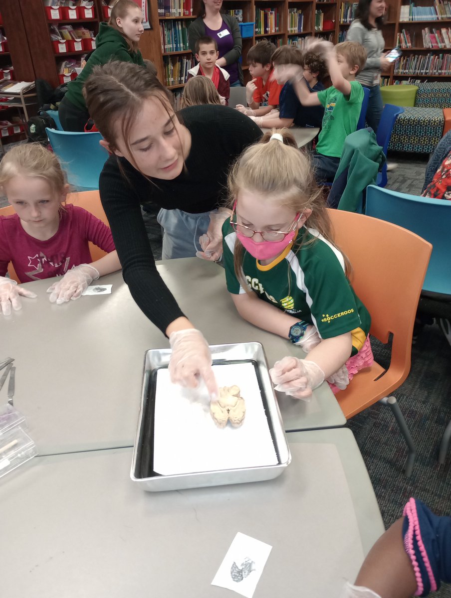 Academies of Racine - Case tweet media