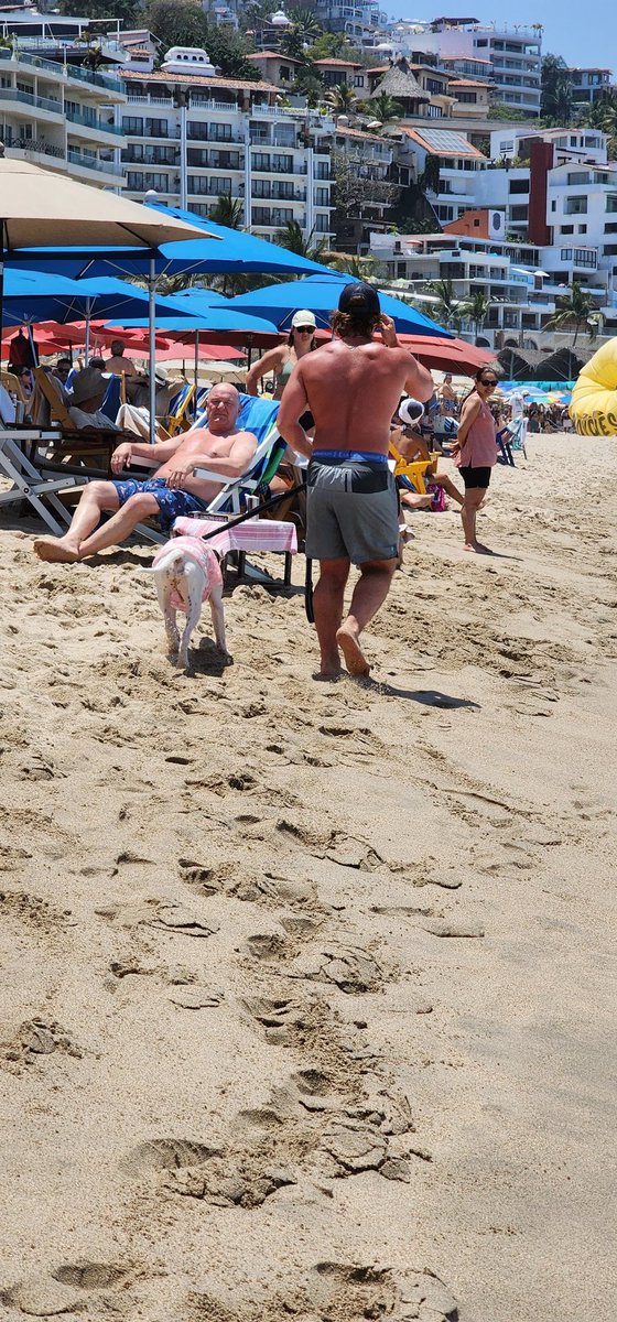 Ch1c0sD3L4C4ll3's tweet photo. Esaaaa perrita que le gusta el Mambo!!! #BeachMan #HombreDLPlaya #Paparazzi #RealGuy #PlayaLosMuertos #PuertoVallarta 2/2 https://t.co/SHnEVAF5Sb