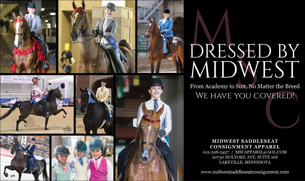 NH_Arabian's tweet photo. #nationalhorsemanarabian #resourceguide #dressedbymidwest https://t.co/T85oWrMNK3