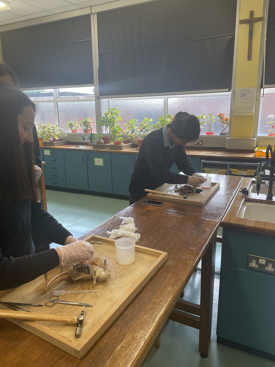 SLG Biology Dept. tweet media