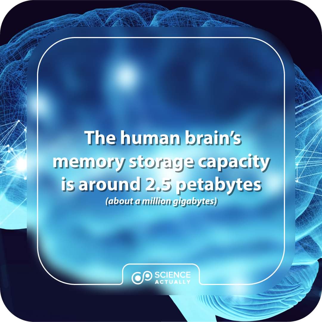 sciencetruly's tweet photo. The human brainβs memory storage capacity to close to around 2.5 petabytes (or a million gigabytes).
#science #sciencefacts #brain #storage #storagecapacity #capacity #neurons #Petabyte
https://t.co/GTLsg1M3pH https://t.co/fLwsERcBWs