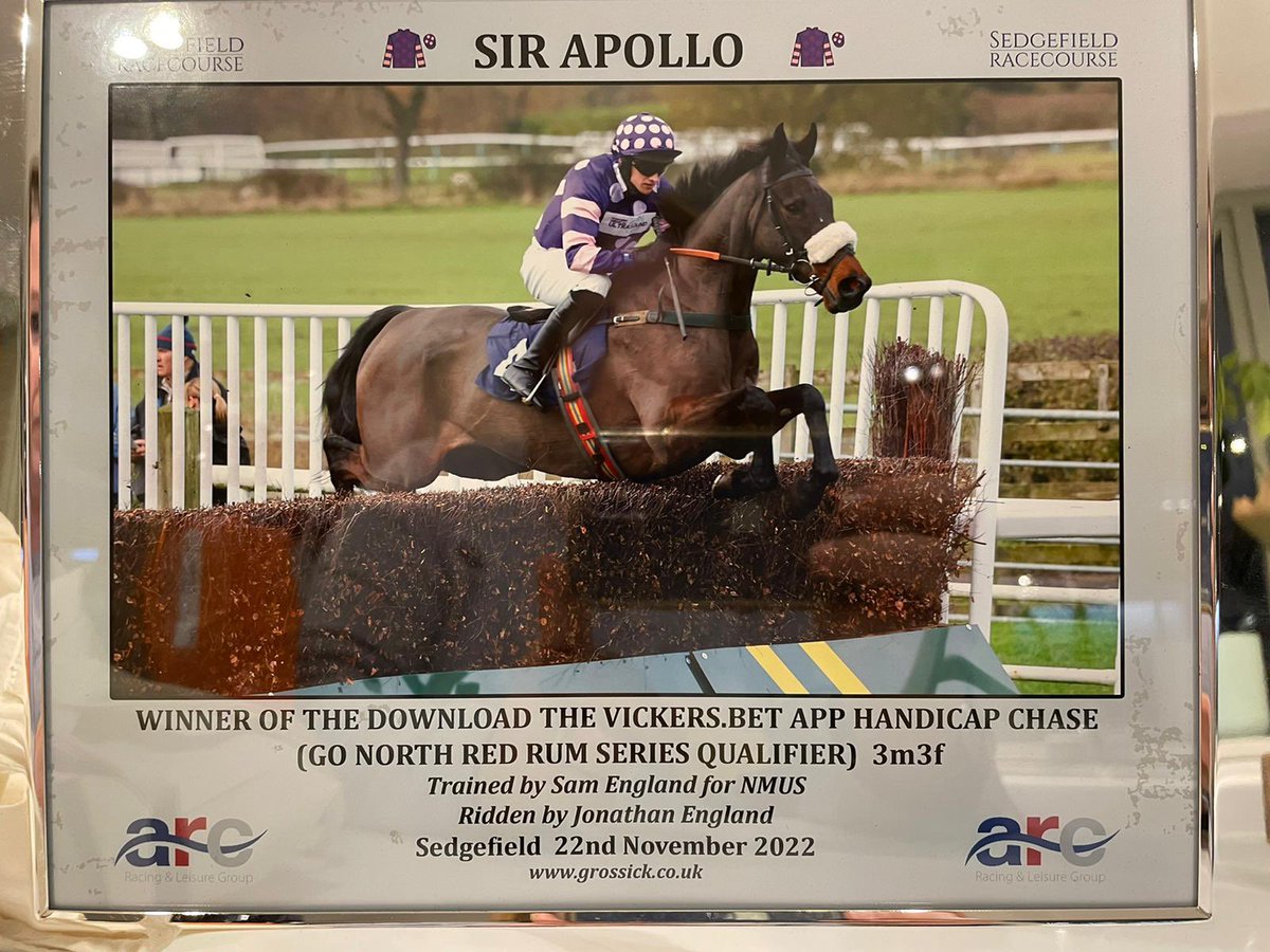 Sir Apollo
16.2hh
8yrs very easy and straightforward can be trained on his own or in company. A winner of 2 chases this season, would make a lovely ptp prospect or would continue to be competitive under rules.
Only for sale to make room for young stock.
£5000