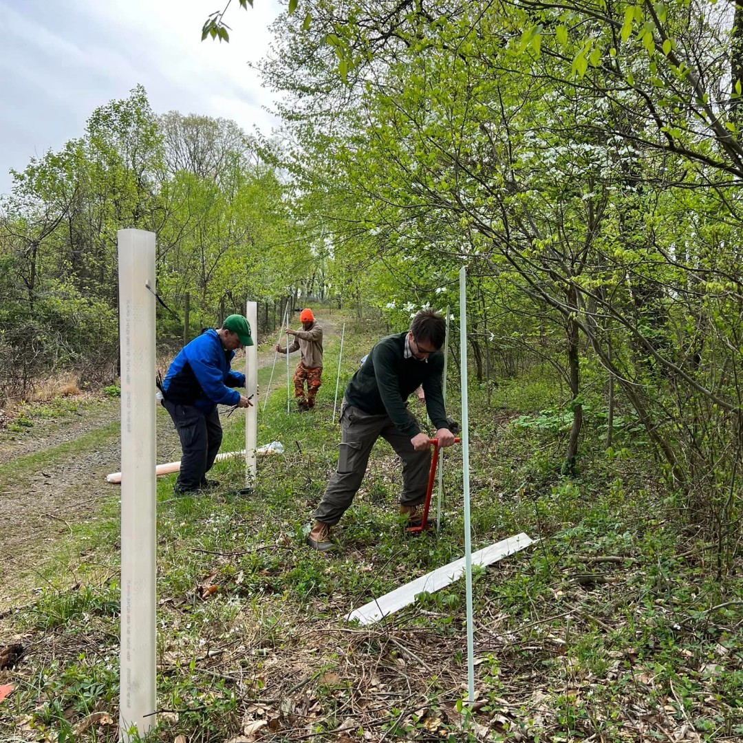 Sourland Conservancy tweet media