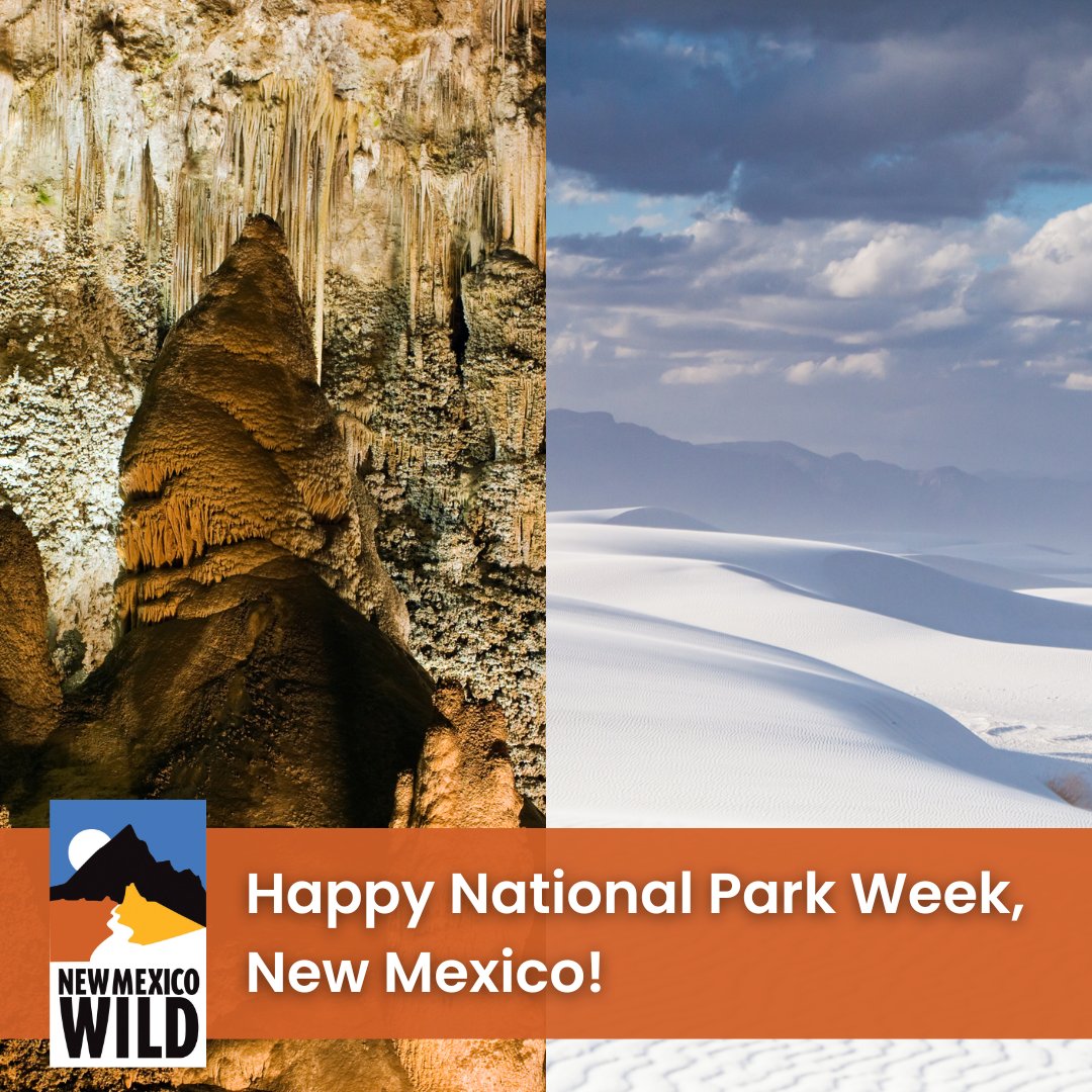 nmwild's tweet photo. Happy #NationalParkWeek! As New Mexicans, we're incredibly lucky to be home to two of the most stunning and unique national parks in the country, Carlsbad @CavernsNPS  and @WhiteSandsNPS!

#nmtrue #newmexico #carlsbadcaverns #whitesandsnationalpark #myparkstory #npsconnection https://t.co/Zicp2FtJ3y