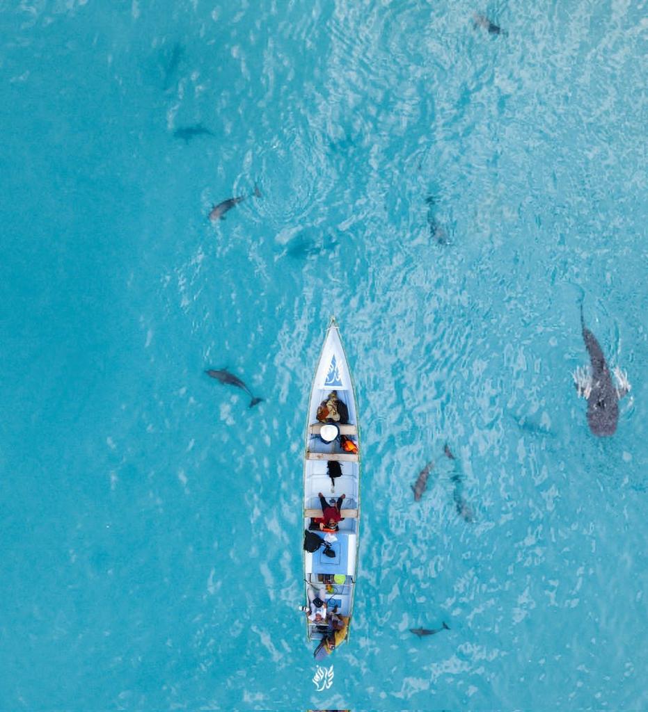 من جزيرة سقطرى اليمنية ❤️

📸 : محمد الزهر