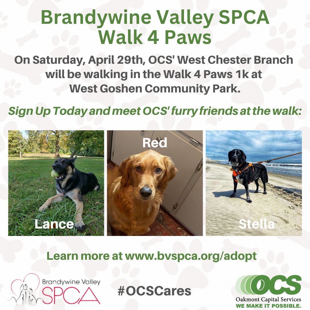 #OakmontCapitalServices' #WestChester branch will be attending the #BrandywineValleySPCA #Walk4Paws on April 29th. Sign up at bit.ly/3A9TePG
#WeMakeItPawsible #EquipmentFinance #AnimalShelters #Philanthropy #GiveBack #DogLovers