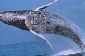 revistaforex's tweet photo. Hay quienes han especulado que existen inversores individuales, conocidos popularmente en el ecosistema cripto, que también pueden considerarse grandes ballenas de Bitcoin
°
#aprende #blog #bolsa #broker #estafa #cripto #criptotech #crypto #cryptomonedas #denuncia #brokers https://t.co/WxejkFVE8q