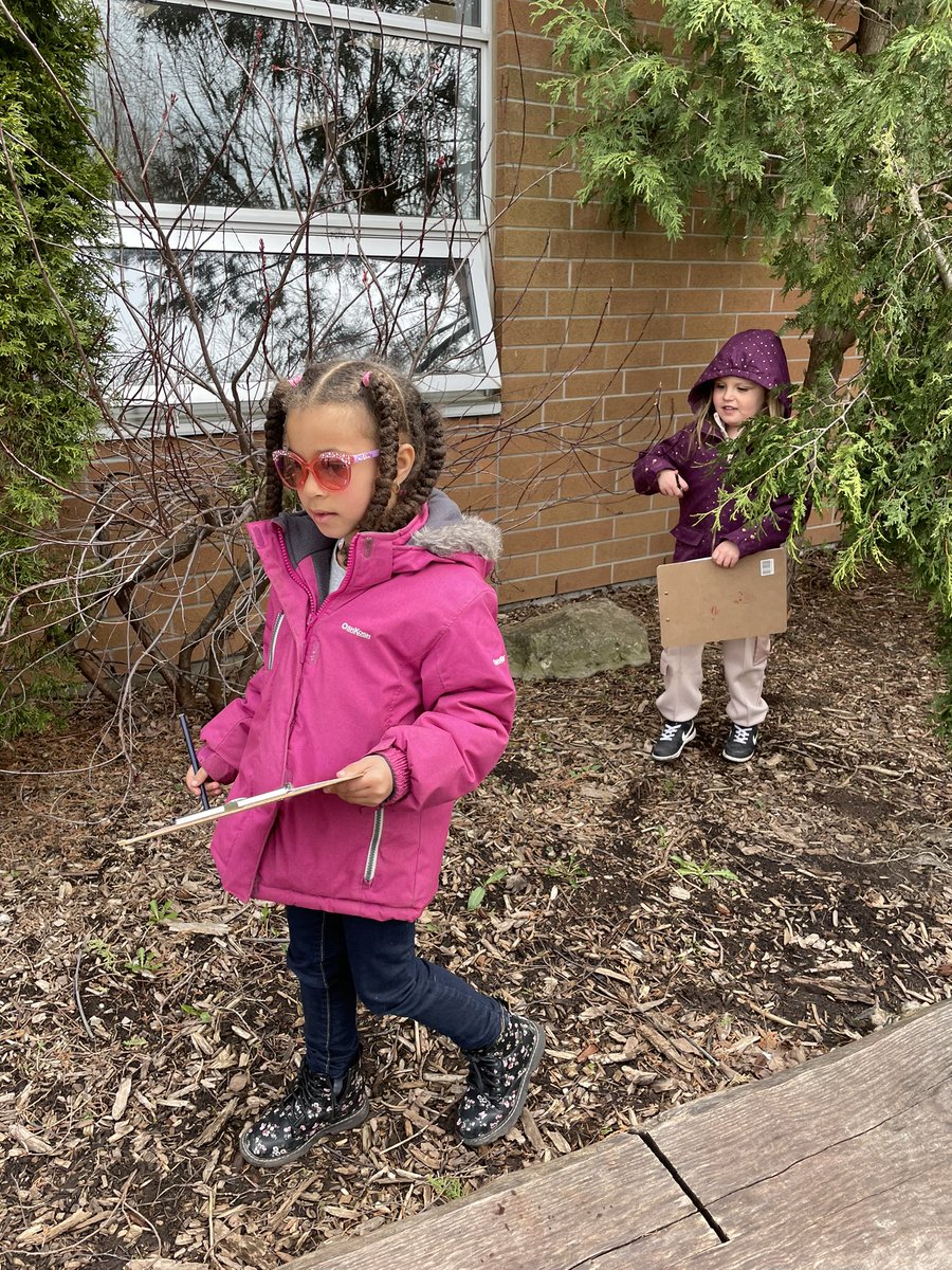 Mrs. M and Mrs. Hooper's Class tweet media