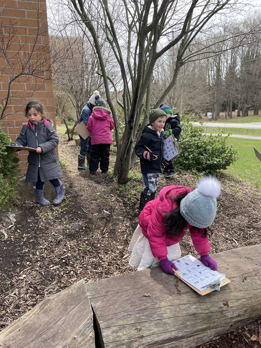 Mrs. M and Mrs. Hooper's Class tweet media