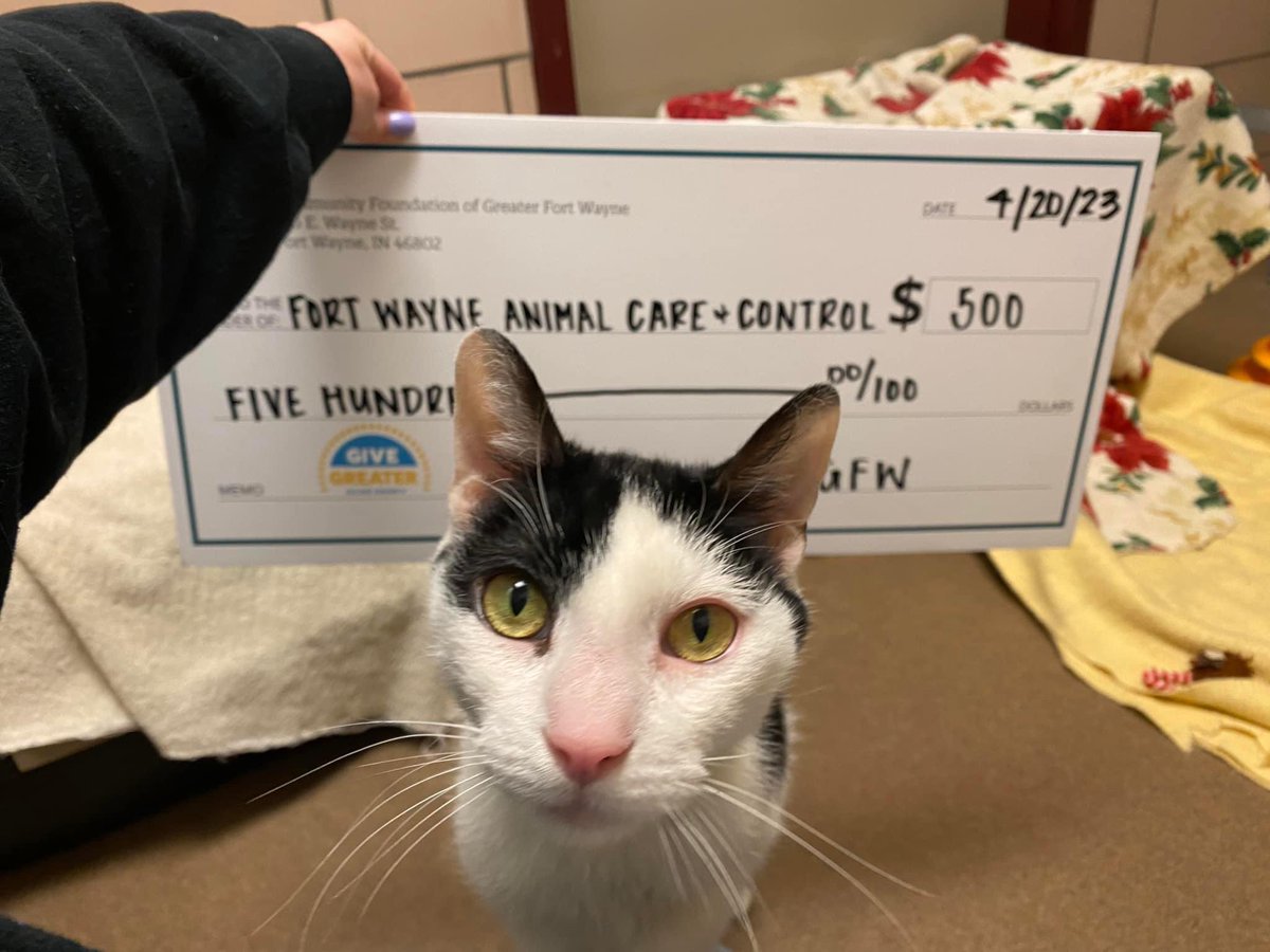 FWAnimalControl's tweet image. Together as a community, we raised a grand total of $8,142.82 for Fort Wayne Animal Care and Control through our #GiveGreaterAllen 12 hour online fundraiser hosted by the Community Foundation of Greater Fort Wayne! 💛 

Thank you for your support!