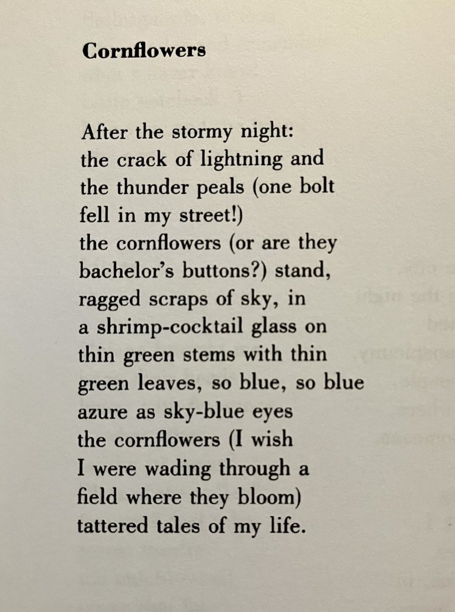seventydys's tweet photo. tattered tales

James Schuyler, ‘Cornflowers’ https://t.co/1EiUWkFTLJ