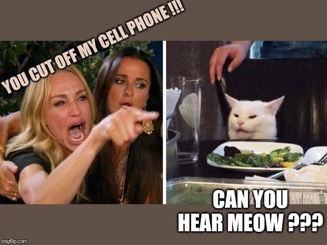 Waywardtygress's tweet image. 