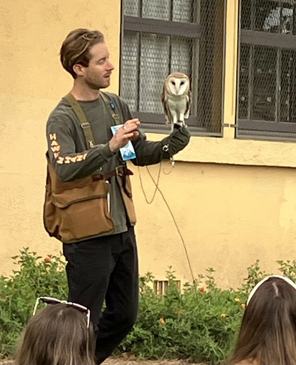 ECoUrbanGardens tweet media