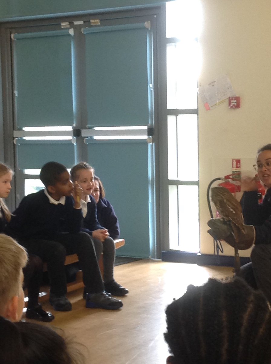 A few more photos 'flying in' from our incredible morning! 🦉